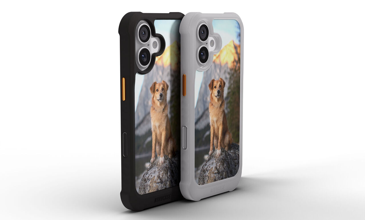 Zwei Handyhüllen mit Foto eines Hundes auf einem Felsen vor Bergen im Hintergrund